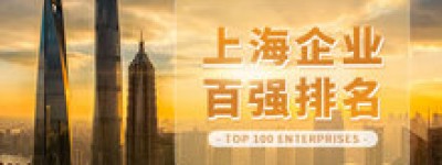 2024上海民营服务业企业100强