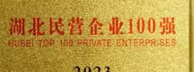 2023湖北民营企业制造业100强