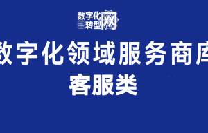数字化服务商库：客服类（五）