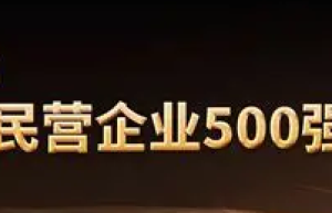 2022中国民营企业500强（101-200）