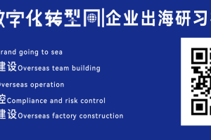 AI企业出海三种典型模式