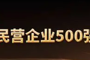 2022中国民营企业500强（101-200）