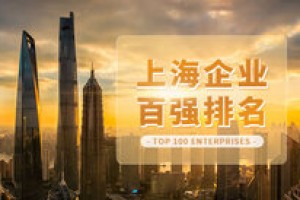 2024上海民营服务业企业100强
