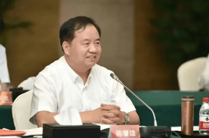 中国电科董事长陈肇雄：加快数字化转型，推动高质量发展-数字化转型网www.szhzxw.cn