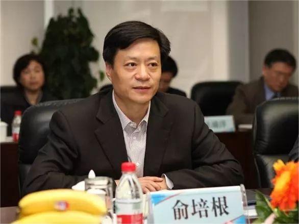 中国东方电气集团有限公司党组书记、董事长俞培根：加快数字化转型，打造装备制造高质量发展“新引擎”-数字化转型网szhzxw.cn