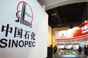 中石化信息化数字化首席专家李剑峰：数字化转型中关键基础软件的国产化应用-数字化转型网www.szhzxw.cn