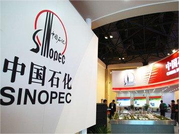 中石化信息化数字化首席专家李剑峰：数字化转型中关键基础软件的国产化应用-数字化转型网www.szhzxw.cn