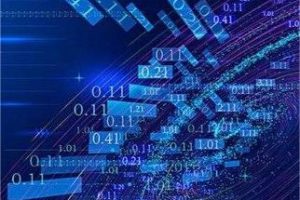 北理工王爱民教授：关于企业数字化转型的三点思考-数字化转型网www.szhzxw.cn