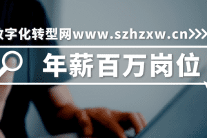 年薪百万岗位-数字化转型网www.szhzxw.cn