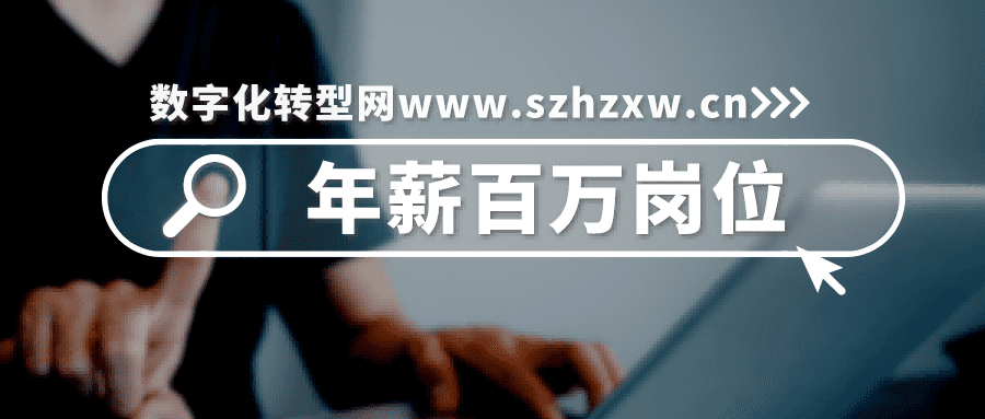 年薪百万岗位-数字化转型网www.szhzxw.cn
