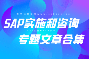 sap实施与sap咨询专题文章系列-数字化转型网www.szhzxw.cn