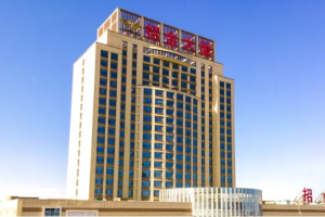 招金矿业股份有限公司-IT运维-数字化转型网szhzxw.cn