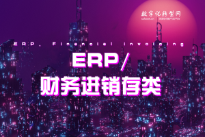 ERP、财务进销存类-数字化转型网szhzxw.cn