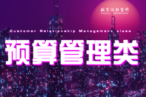 预算管理类-数字化服务商库-数字化转型网szhzxw.cn