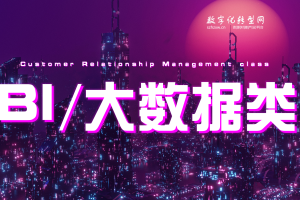 BI/大数据类-数字化服务商库-数字化转型网szhzxw.cn