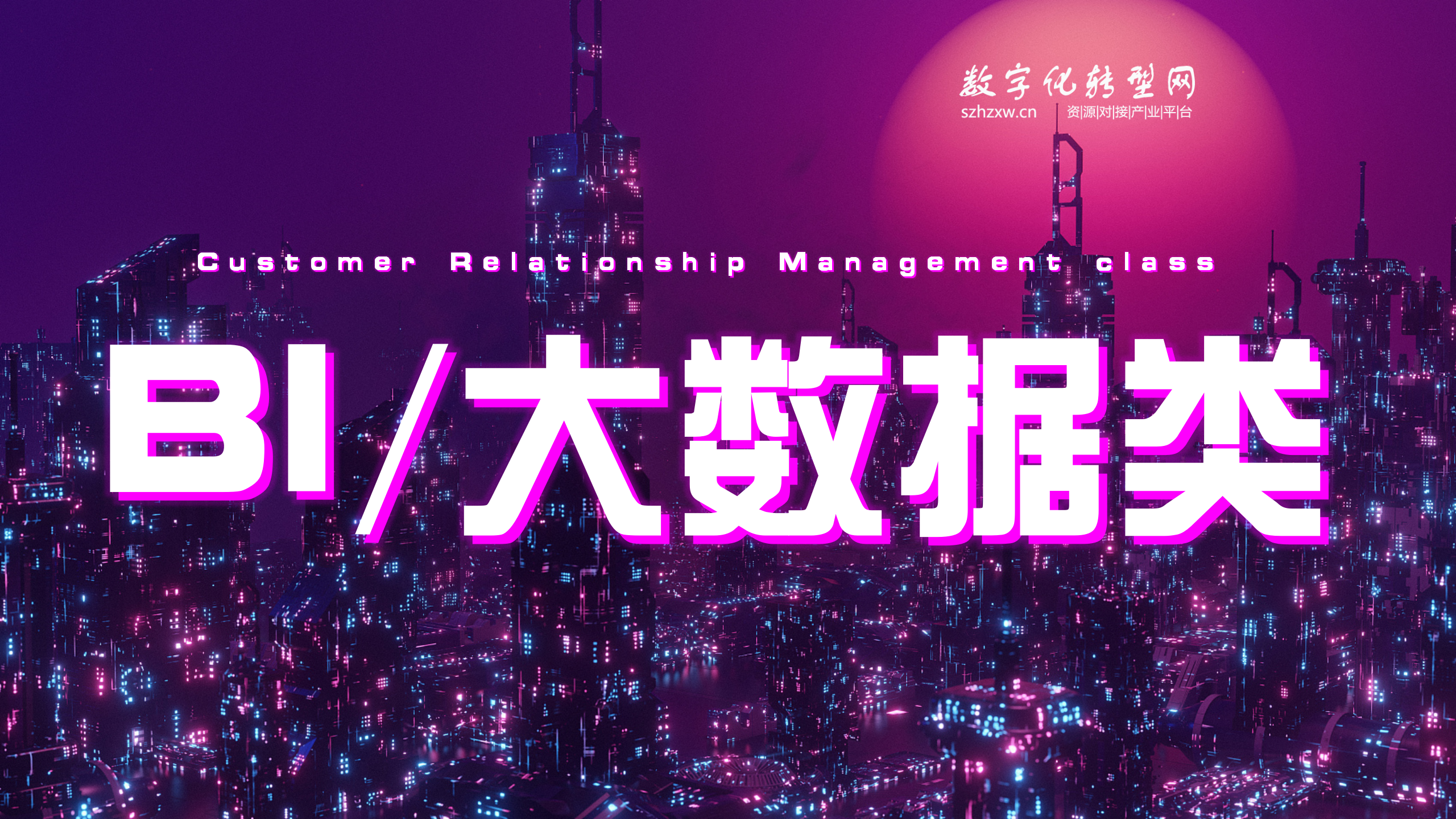 BI/大数据类-数字化服务商库-数字化转型网szhzxw.cn