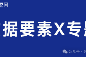 数据要素X专题