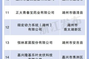 30家入选！浙江公布2023年未来工厂试点企业名单-数字化转型网www.szhzxw.cn