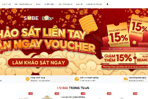 家电出海案例解析：小熊电器三天卖出1个亿，海外收入直接翻倍，小家电如何快速布局海外市场-数字化转型网www.szhzxw.cn