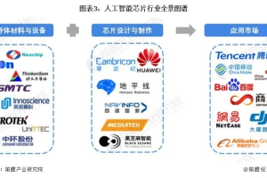 2023年中国人工智能芯片行业概况-数字化转型网www.szhzxw.cn