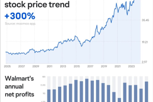 人工智能行业资讯|用ChatGPT搜索电商产品！全球最大超市-沃尔玛与微软合作-数字化转型网www.szhzxw.cn