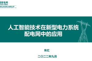 国网首席专家朱红：人工智能技术在新型电力系统配电网中的应用实践-数字化转型网www.szhzxw.cn