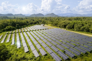 国产光伏企业出海的困境与破局-数字化转型网www.szhzxw.cn