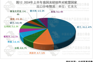 2024上半年中国光伏企业出海形势回顾与展望-数字化转型网www.szhzxw.cn