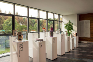 家电出海案例：把豆浆机卖给马来人，中国版戴森闯入美国-数字化转型网www.szhzxw.cn