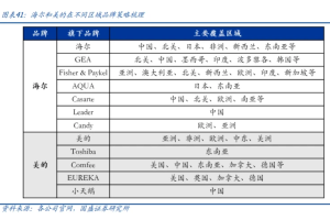 中国家电出海历程、核心能力及策略分析-数字化转型网www.szhzxw.cn