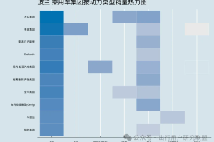 中国车企出海系列：中国车企在波兰-数字化转型网www.szhzxw.cn