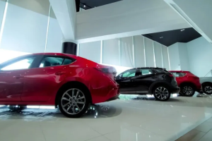 紧跟车企走出去，中国经销商出海跃跃欲试-数字化转型网www.szhzxw.cn