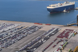 汽车出海如何再攀高峰？两会代表委员有话说-数字化转型网www.szhzxw.cn