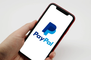 企业出海案例|贝宝利用跨境电商走向全球-数字化转型网www.szhzxw.cn