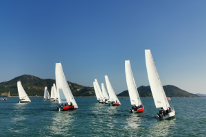 进一步促进我国企业产业链出海-数字化转型网www.szhzxw.cn