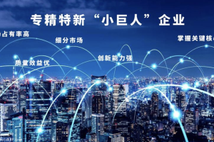 中国专精特新制造业企业集群出海模式-数字化转型网www.szhzxw.cn