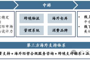 中国消费品出海概况-数字化转型网www.szhzxw.cn