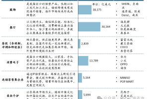 中国消费品出海细分赛道发展分析-数字化转型网www.szhzxw.cn