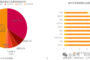 中国消费品牌出海的细分市场如何？中国消费品牌出海的特点有哪些？-数字化转型网www.szhzxw.cn