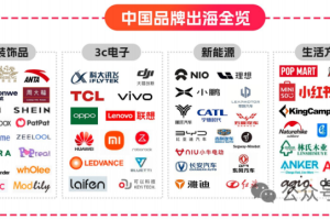 中国消费品出海趋势洞察报告-数字化转型网www.szhzxw.cn