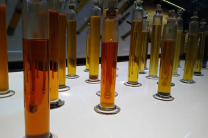 出海非洲·消费品蓝海，投资新宠，日益发展的南非精油产业-数字化转型网www.szhzxw.cn