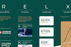 金融型出海案例|雾芯科技（RLX Technology）-数字化转型网www.szhzxw.cn