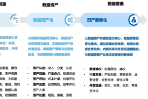 数据要素化的实施路径-数字化转型网www.szhzxw.cn