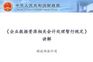 财政部会计司：不宜被确认为资产的数据资源的七种情形-数字化转型网www.szhzxw.cn