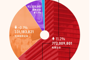 2024年上半年中国“出海”超全图谱-数字化转型网www.szhzxw.cn