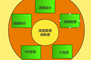 如何对企业进行流程管理成熟度调研？25项评估要点轻松掌握企业流程状况-数字化转型网www.szhzxw.cn