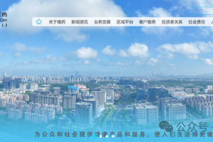 【数字化灯塔案例奖获奖案例】南京医药中台项目-数字化转型网www.szhzxw.cn