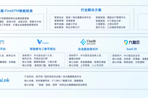 第二届亚太CXO论坛暨上海企业级AI应用论坛合作伙伴风采|帆软——数字化转型网（专业造就领导者）