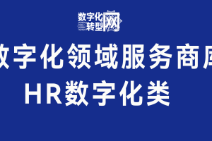 HR数字化类-数字化服务商库-数字化转型网szhzxw.cn