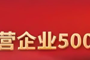 2023中国民营企业500强-数字化转型网www.szhzxw.cn